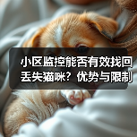 小区监控能否有效找回丢失猫咪？优势与限制全解析(图4)