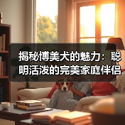揭秘博美犬的魅力:聪明活泼的完美家庭伴侣(图2) 揭秘博美犬的魅力:聪明活泼的完美家庭伴侣(图2)