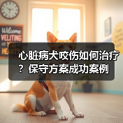 心脏病犬咬伤如何治疗?保守方案成功案例(图2) 心脏病犬咬伤如何治疗?保守方案成功案例(图2)