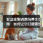 紫蓝金刚鹦鹉饲养全攻略:如何让它们健康快乐生活?(图4) 紫蓝金刚鹦鹉饲养全攻略:如何让它们健康快乐生活?(图4)