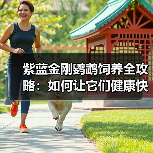 紫蓝金刚鹦鹉饲养全攻略:如何让它们健康快乐生活?(图3) 紫蓝金刚鹦鹉饲养全攻略:如何让它们健康快乐生活?(图3)