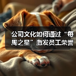 公司文化如何通过“每周之星”激发员工荣誉感(图2) 公司文化如何通过“每周之星”激发员工荣誉感(图2)