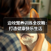 边牧笼养训练全攻略：打造健康快乐生活(图3)