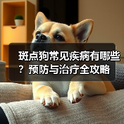 斑点狗常见疾病有哪些？预防与治疗全攻略(图2)