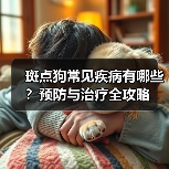 斑点狗常见疾病有哪些？预防与治疗全攻略(图4)