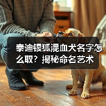 泰迪银狐混血犬名字怎么取？揭秘命名艺术(图4)