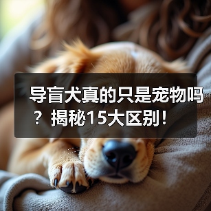 导盲犬真的只是宠物吗？揭秘15大区别！