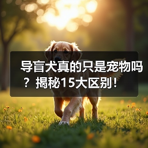 导盲犬真的只是宠物吗?揭秘15大区别!(图3) 导盲犬真的只是宠物吗?揭秘15大区别!(图3)