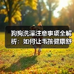 狗狗洗澡注意事项全解析：如何让毛孩健康舒适洗澡