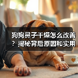狗狗鼻子干燥怎么改善?揭秘背后原因和实用护理方法(图3) 狗狗鼻子干燥怎么改善?揭秘背后原因和实用护理方法(图3)