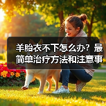 羊胎衣不下怎么办?最简单治疗方法和注意事项详解(图3) 羊胎衣不下怎么办?最简单治疗方法和注意事项详解(图3)