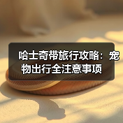 哈士奇带旅行攻略:宠物出行全注意事项(图3) 哈士奇带旅行攻略:宠物出行全注意事项(图3)