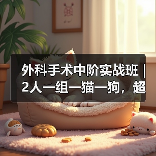 外科手术中阶实战班|2人一组一猫一狗,超多实操提升技能(图4) 外科手术中阶实战班|2人一组一猫一狗,超多实操提升技能(图4)