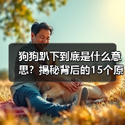 狗狗趴下到底是什么意思?揭秘背后的15个原因与心理(图4) 狗狗趴下到底是什么意思?揭秘背后的15个原因与心理(图4)