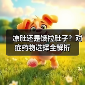 凉肚还是饿拉肚子?对症药物选择全解析(图2) 凉肚还是饿拉肚子?对症药物选择全解析(图2)