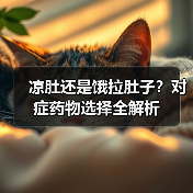 凉肚还是饿拉肚子？对症药物选择全解析