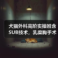 犬猫外科高阶实操班含SUB技术，乳糜胸手术怎么练？