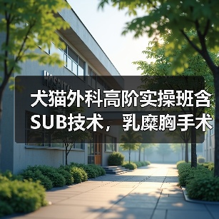 犬猫外科高阶实操班含SUB技术,乳糜胸手术怎么练?(图2) 犬猫外科高阶实操班含SUB技术,乳糜胸手术怎么练?(图2)
