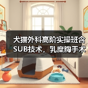 犬猫外科高阶实操班含SUB技术,乳糜胸手术怎么练?(图4) 犬猫外科高阶实操班含SUB技术,乳糜胸手术怎么练?(图4)