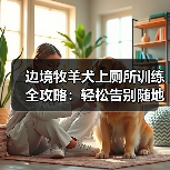 边境牧羊犬上厕所训练全攻略:轻松告别随地大小便(图3) 边境牧羊犬上厕所训练全攻略:轻松告别随地大小便(图3)
