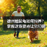 德州地鼠龟如何饲养?掌握这些要点让它们健康快乐成长(图2) 德州地鼠龟如何饲养?掌握这些要点让它们健康快乐成长(图2)
