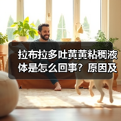拉布拉多吐黄黄粘稠液体是怎么回事?原因及处理方法(图2) 拉布拉多吐黄黄粘稠液体是怎么回事?原因及处理方法(图2)