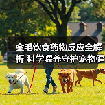 金毛饮食药物反应全解析 科学喂养守护宠物健康(图4) 金毛饮食药物反应全解析 科学喂养守护宠物健康(图4)