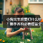 小狗出生后要打什么针?新手养狗必看疫苗全攻略(图3) 小狗出生后要打什么针?新手养狗必看疫苗全攻略(图3)
