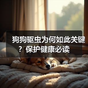狗狗驱虫为何如此关键？保护健康必读(图2)