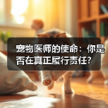 宠物医师的使命：你是否在真正履行责任？