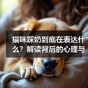 猫咪踩奶到底在表达什么?解读背后的心理与行为逻辑(图4) 猫咪踩奶到底在表达什么?解读背后的心理与行为逻辑(图4)