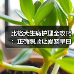 比格犬生病护理全攻略:正确照顾让爱宠早日康复(图3) 比格犬生病护理全攻略:正确照顾让爱宠早日康复(图3)