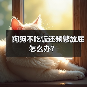 狗狗不吃饭还频繁放屁怎么办？(图2)