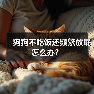 狗狗不吃饭还频繁放屁怎么办？(图3)