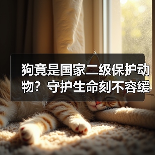 狗竟是国家二级保护动物?守护生命刻不容缓!(图4) 狗竟是国家二级保护动物?守护生命刻不容缓!(图4)