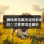 猫咪换毛期洗澡有影响吗?注意事项全解析(图2) 猫咪换毛期洗澡有影响吗?注意事项全解析(图2)