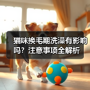 猫咪换毛期洗澡有影响吗?注意事项全解析(图4) 猫咪换毛期洗澡有影响吗?注意事项全解析(图4)