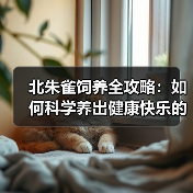 北朱雀饲养全攻略:如何科学养出健康快乐的它们?(图2) 北朱雀饲养全攻略:如何科学养出健康快乐的它们?(图2)
