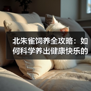 北朱雀饲养全攻略:如何科学养出健康快乐的它们?(图3) 北朱雀饲养全攻略:如何科学养出健康快乐的它们?(图3)