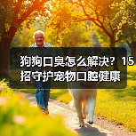 狗狗口臭怎么解决?15招守护宠物口腔健康(图4) 狗狗口臭怎么解决?15招守护宠物口腔健康(图4)