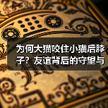 为何大猫咬住小猫后脖子?友谊背后的守望与信任(图3) 为何大猫咬住小猫后脖子?友谊背后的守望与信任(图3)