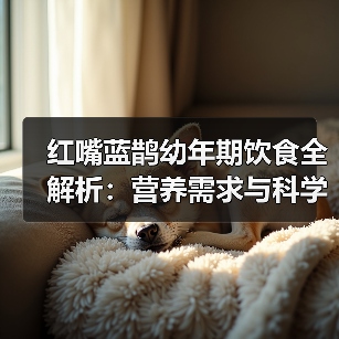 红嘴蓝鹊幼年期饮食全解析：营养需求与科学喂养指南