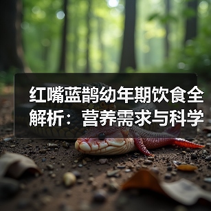 红嘴蓝鹊幼年期饮食全解析：营养需求与科学喂养指南(图4)