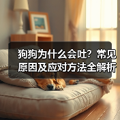 狗狗为什么会吐?常见原因及应对方法全解析(图4) 狗狗为什么会吐?常见原因及应对方法全解析(图4)