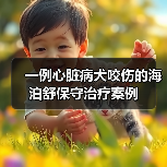 一例心脏病犬咬伤的海泊舒保守治疗案例