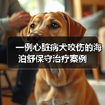 一例心脏病犬咬伤的海泊舒保守治疗案例(图4) 一例心脏病犬咬伤的海泊舒保守治疗案例(图4)