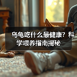 乌龟吃什么最健康？科学喂养指南揭秘(图3)