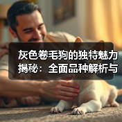 灰色卷毛狗的独特魅力揭秘：全面品种解析与养宠指南