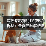 灰色卷毛狗的独特魅力揭秘:全面品种解析与养宠指南(图2) 灰色卷毛狗的独特魅力揭秘:全面品种解析与养宠指南(图2)