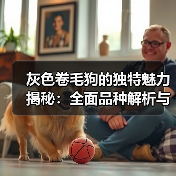 灰色卷毛狗的独特魅力揭秘:全面品种解析与养宠指南(图3) 灰色卷毛狗的独特魅力揭秘:全面品种解析与养宠指南(图3)
